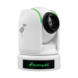 BIRDDOG BDP4K 4K 12X Full NDI PTZ Camera White