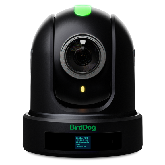 BIRDDOG P110 10X Full NDI PTZ Camera (Black)