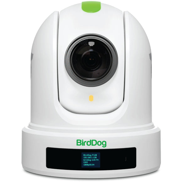 BIRDDOG P110 10X Full NDI PTZ Camera (White)