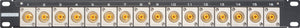 32 Point 1RU Flushmount RCA To Solder Point