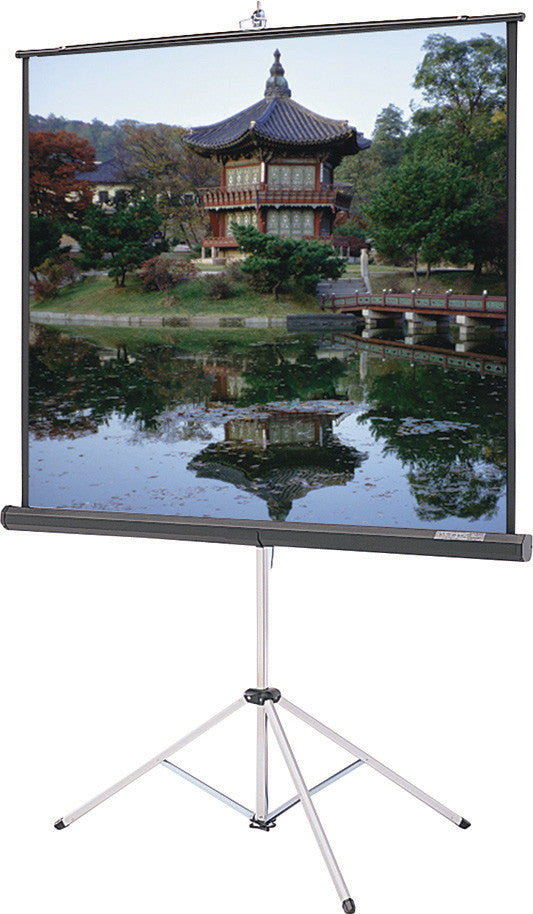 Da-Lite 40131 Picture King 70x70 Matte White Tripod Projection Screen