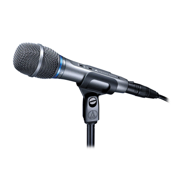 AE3300 Cardioid Condenser Handheld Microphone