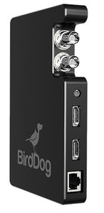 BirdDog Studio BDSTUM01 SDI and HDMI to NDI (Network Device Interface) Encoder with Tally and PoE