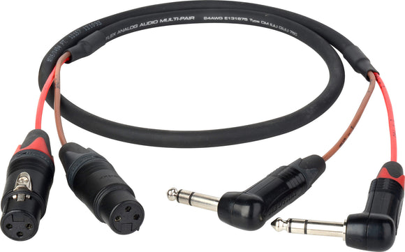 2-CH RA 1/4-Inch to XLR Blackmagic 2.5K Cinema Camera Audio Breakout Cable 2ft