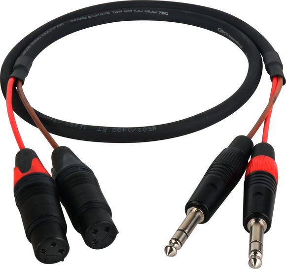 2-CH Balanced 1/4In to XLR Blackmagic 2.5K Cinema Camera Audio Breakout Cable