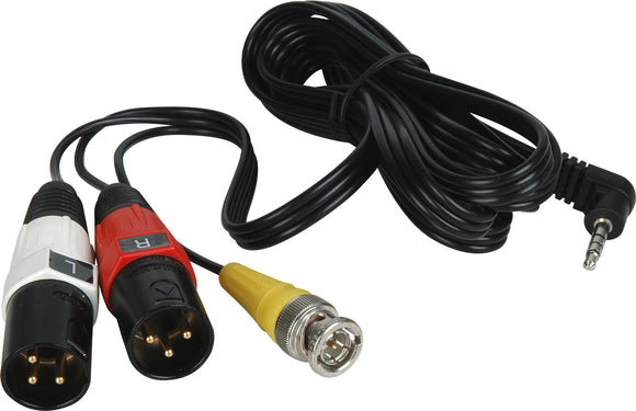 Canon STV-250N Type AV Breakout Cable to Left & Right XLR Male & BNC Video 6 Ft