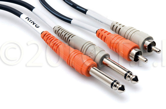 Hosa CPR-202 Dual RCA to Dual 1/4in Plug Cable 6.6FT