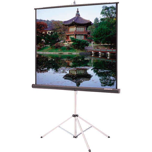 Da-Lite 90602 84x84 Inch Picture King - Silver Lite 2.5