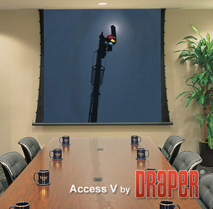 Draper 102184L Access/Series V 133 Inch HDTV M1300 110 V with Low Voltage Controller