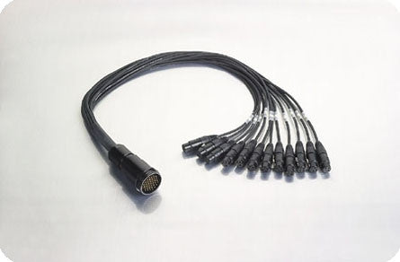 Gepco DT12 Female to 12 XLR Male Snake 3FT