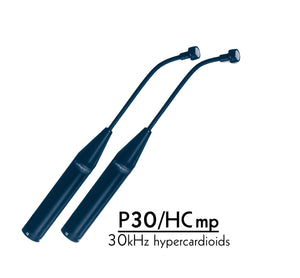 Earthworks P30/HCmp-B Matched Pair Periscope Hypercardioid Mic 30Hz-30kHz Black