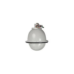 Sony EVIID8C1 Indoor Pendant Mount Clear Dome Housing