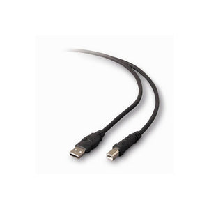 Belkin F3U133-10 Type A Male USB to Type B Male USB 10FT