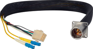 Camplex LEMO EDW to Dual ST & 6-Pin Amp Power Fiber Breakout Cable 24 Inch