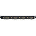 Camplex HF-LC12-DXMM 12-Port LC Duplex Multimode Feed-Thru Panel