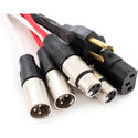 Pro Co EC6-25 Audio/power cable with PowerCon Grey to IEC power channel and 2 XLR Female to XLR Male audio channels 25FT