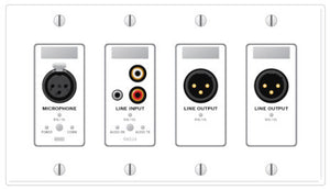 Rane RAD14 XLR Mic In & Mono RCA/3.5 MM Line In 2 XLR Line Out - Ivory