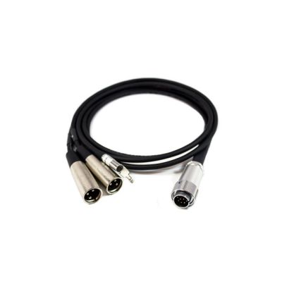 Azden 10-Pin to Dual-XLR Output Cable for FMX-42A Mixer